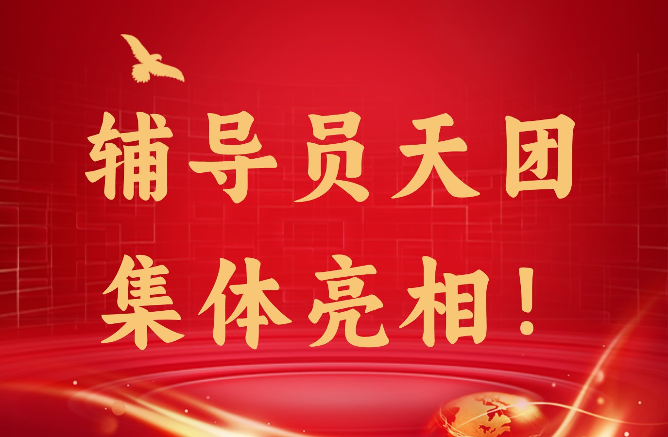 星空综合登录入口
