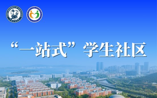 本页围绕「星空综合登录入口操作说明」