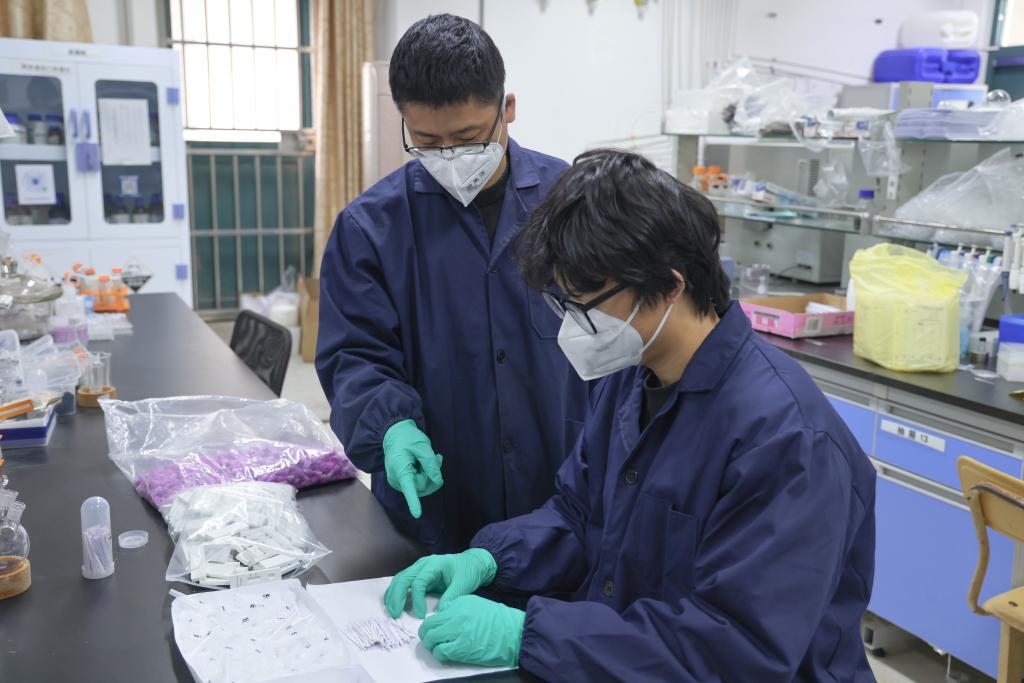 星空综合登录入口